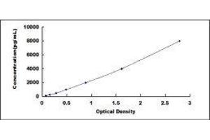 Typical standard curve (Vimentin ELISA 试剂盒)