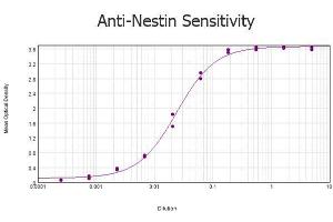 ELISA results of purified Rabbit anti-Nestin Antibody tested against BSA-conjugated peptide of immunizing peptide. (Nestin 抗体  (AA 1484-1500))