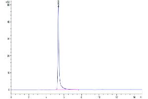 The purity of Human ITGA6&ITGB1 is greater than 95 % as determined by SEC-HPLC.