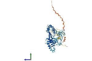 Protein Structure (PS) image for Zinc Finger Protein 259 (znf259) (AA 1-459) protein (His tag) (ABIN7545508)