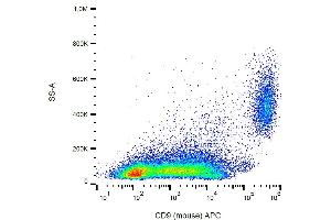 Flow cytometry analysis (surface staining) of CD9 in murine peritoneal fluid cells with anti-CD9 (EM-04) APC. (CD9 抗体  (APC))