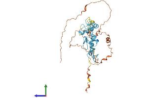 Protein Structure (PS) image for Scratch Homolog 2, Zinc Finger Protein (SCRT2) (AA 1-307) protein (His tag) (ABIN7545989)