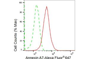 Flow cytometric analysis of Annexin A7 expression in HepG2 cells using Annexin A7 antibody (ABIN7797626), 1:2,000). (Recombinant Annexin VII 抗体)