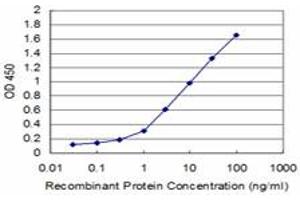 Detection limit for recombinant GST tagged TRIM49 is approximately 0. (TRIM49 抗体  (AA 251-340))