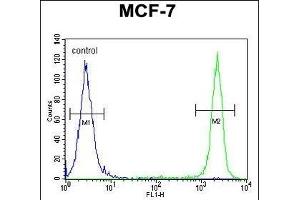 SEL1L Antibody (Center) (ABIN654642 and ABIN2844339) flow cytometric analysis of MCF-7 cells (right histogram) compared to a negative control cell (left histogram). (SEL1L 抗体  (AA 156-182))