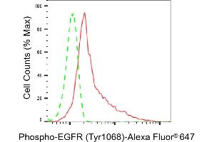 Flow cytometric analysis of Phospho-EGFR (Tyr) expression in HepG2 cells using Phospho-EGFR (Tyr) antibody (ABIN7798464), 1:2,000). (Recombinant EGFR 抗体  (pTyr1068))