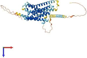 SSTR3 Protein (AA 1-428) (His tag)