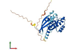Protein Structure (PS) image for RAB3B, Member RAS Oncogene Family (RAB3B) (AA 1-219) protein (His tag) (ABIN7560802)