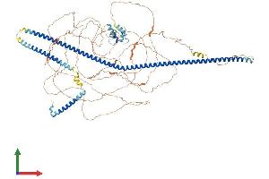 Protein Structure (PS) image for RAB11 Family Interacting Protein 3 (Class II) (RAB11FIP3) (AA 1-1047) protein (His tag) (ABIN7564582)