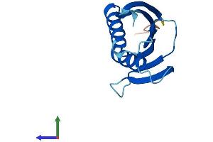 Protein Structure (PS) image for Proteasome (Prosome, Macropain) Assembly Chaperone 4 (PSMG4) (AA 1-123) protein (His tag) (ABIN7551106)