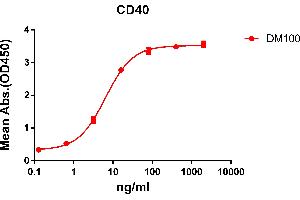 ELISA plate pre-coated by 2 μg/mL (100 μL/well) Human CD40 protein, mFc-His tagged protein ((ABIN6961088, ABIN7042205 and ABIN7042206)) can bind Rabbit anti-CD40 monoclonal antibody(clone: DM100) in a linear range of 0. (CD40 抗体  (AA 21-193))
