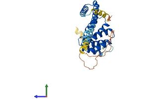 AlphaFold protein structure predicition of Human Recombinant ZHX1-C8orf76 Protein, UniprotID Q96EF9