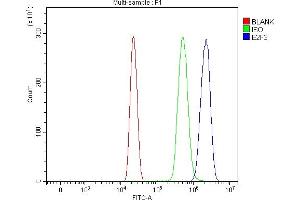 Flow Cytometry analysis of HL-60 cells using anti-E2F3 antibody (ABIN7602654). (E2F3 抗体  (AA 91-465))