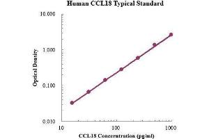 ELISA image for Chemokine (C-C Motif) Ligand 18 (Pulmonary and Activation-Regulated) (CCL18) ELISA Kit (ABIN3198405)