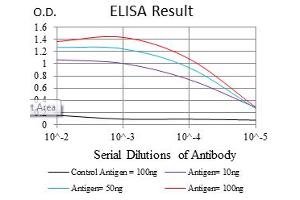 Image no. 4 for anti-SRY (Sex Determining Region Y)-Box 9 (SOX9) antibody (ABIN1501087) (SOX9 抗体)