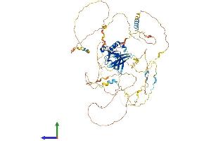 AlphaFold protein structure predicition of Mouse Recombinant Pwwp2a Protein, UniprotID Q69Z61 (PWWP2A Protein (AA 1-730) (His tag))