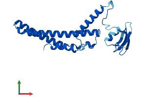 Protein Structure (PS) image for GINS Complex Subunit 1 (Psf1 Homolog) (GINS1) (AA 1-196) protein (His tag) (ABIN7560769)