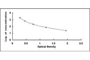 Typical standard curve (Angiotensin II ELISA 试剂盒)