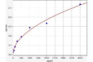 Thioredoxin (TXN) ELISA Kit