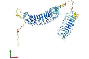Protein Structure (PS) image for Leucine Rich Repeat Containing 40 (LRRC40) (AA 1-602) protein (His tag) (ABIN7560634)