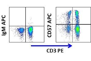 Flow Cytometry (FACS) image for anti-beta-1,3-Glucuronyltransferase 1 (Glucuronosyltransferase P) (B3GAT1) antibody (APC) (ABIN3071850) (CD57 抗体  (APC))