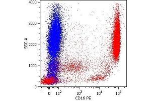 Surface staining of human peripheral blood cells with anti-CD16 (LNK16) PE. (CD16 抗体  (FITC))