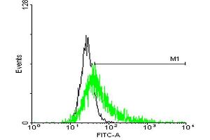 Flow Cytometry (FACS) image for anti-G Protein-Coupled Receptor, Family C, Group 5, Member C (GPRC5C) (AA 1-453) antibody (ABIN527771)