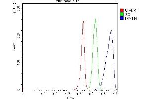 anti-Methyltransferase Like 19 (METTL19) (AA 1-757) antibody