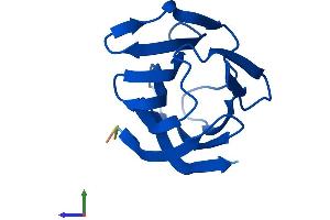 AlphaFold protein structure predicition of Human Recombinant LGALS2 Protein, UniprotID P05162