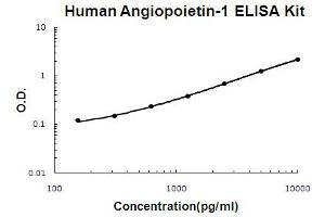 Human Angiopoietin-1 Accusignal ELISA Kit Human Angiopoietin-1 AccuSignal ELISA Kit standard curve. (Angiopoietin 1 ELISA 试剂盒)