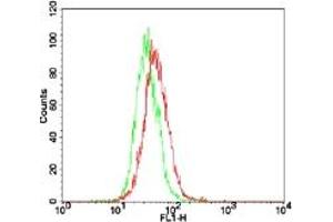 Image no. 1 for anti-Toll-Like Receptor 7 (TLR7) (AA 706-728) antibody (FITC) (ABIN956807) (TLR7 抗体  (AA 706-728) (FITC))
