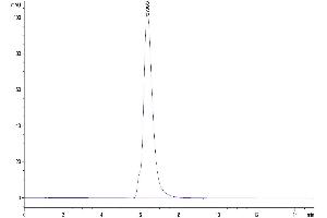 The purity of Human CD200 is greater than 95 % as determined by SEC-HPLC.