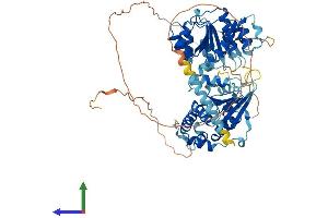 AlphaFold protein structure predicition of Mouse Recombinant Ddx18 Protein, UniprotID Q8K363