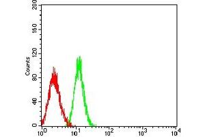 Flow cytometric analysis of HL-60 cells using CD11D mouse mAb (green) and negative control (red). (ITGAD 抗体  (AA 18-172))