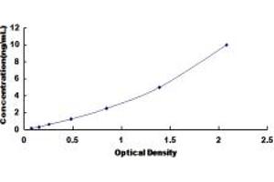 Typical standard curve (HS6ST3 ELISA 试剂盒)