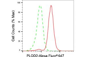 Flow cytometric analysis of PLOD2 expression in HT- cells using PLOD2 antibody (ABIN7799903), 1:2,000). (PLOD2 抗体)