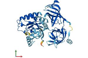 Protein Structure (PS) image for Eukaryotic Translation Elongation Factor 1 alpha 1 (EEF1A1) (AA 1-462) protein (His tag) (ABIN7547222)