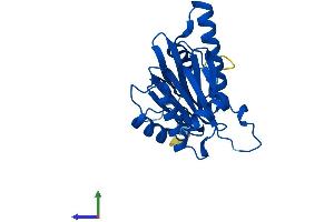 Protein Structure (PS) image for Proteasome Subunit alpha 5 (PSMA5) (AA 1-241) protein (His tag) (ABIN7551051)