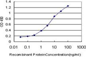 Detection limit for recombinant GST tagged RIPK2 is approximately 0. (RIPK2 抗体  (AA 431-540))