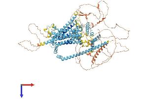 AlphaFold protein structure predicition of Mouse Recombinant Tmc3 Protein, UniprotID Q7TQ69 (Tmc3 Protein (AA 1-1130) (His tag))