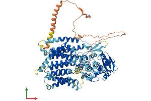 Protein Structure (PS) image for Dpy-19-Like 2 (DPY19L2) (AA 1-773) protein (His tag) (ABIN7562815)
