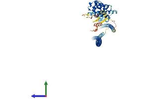 Protein Structure (PS) image for RUN and FYVE Domain Containing 3 (RUFY3) (AA 1-469) protein (His tag) (ABIN7564978)