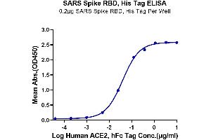 Immobilized SARS Spike RBD, His Tag at 2 μg/mL (100 μL/well) on the plate. (SARS-CoV Spike Protein (RBD) (His-Avi Tag))