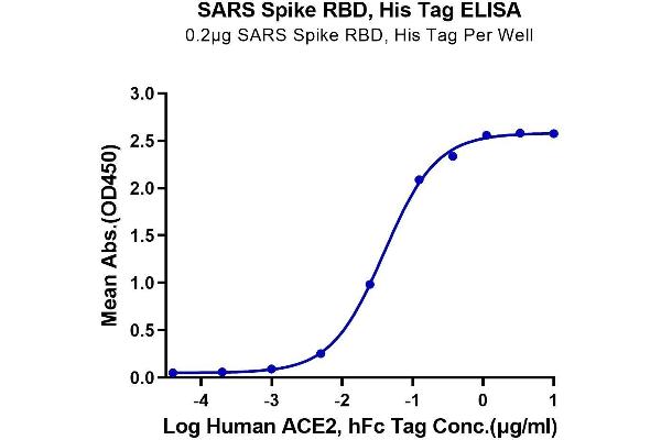 SARS-CoV Spike Protein (RBD) (His-Avi Tag)