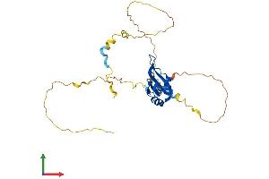 Protein Structure (PS) image for Poly(A) Binding Protein, Nuclear 1-Like (Cytoplasmic) (PABPN1L) (AA 1-278) protein (His tag) (ABIN7547385)