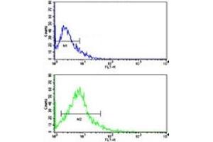 Flow Cytometry (FACS) image for anti-Angiotensin I Converting Enzyme 2 (ACE2) (AA 140-172) antibody (ABIN3029963)