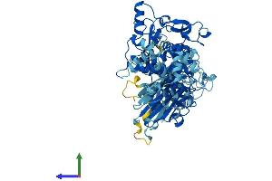 Protein Structure (PS) image for Calpain 8 (CAPN8) (AA 1-703) protein (His tag) (ABIN7552896)