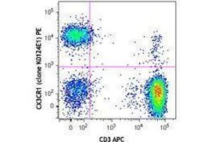 Flow Cytometry (FACS) image for anti-Chemokine (C-X3-C Motif) Receptor 1 (CX3CR1) antibody (PE) (ABIN2662696) (CX3CR1 抗体  (PE))