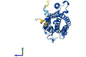 AlphaFold protein structure predicition of Human Recombinant ACER2 Protein, UniprotID Q5QJU3