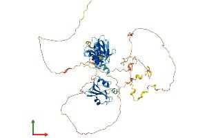 Protein Structure (PS) image for SHC (Src Homology 2 Domain Containing) Transforming Protein 1 (SHC1) (AA 1-579) protein (His tag) (ABIN7563568)